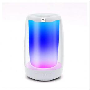 Mini LED Portable Light with speaker